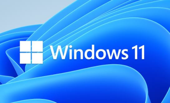 guide installering af Windows 11 preview build